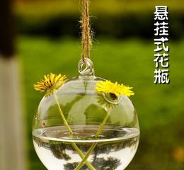 玻璃花瓶花插供應信息 玻璃花瓶花插批發 玻璃花瓶花插價格 找玻璃花瓶花插產品上