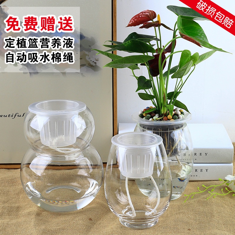 自動吸水澆水玻璃花瓶水培透明花盆植物送棉繩定植籃懶人澆花器皿
