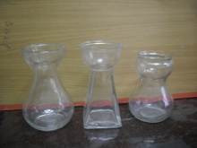 容器風(fēng)信子_容器風(fēng)信子批發(fā)_容器風(fēng)信子供應(yīng)_阿里巴巴